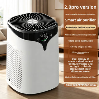 Portable Air Purifier with Negative Ion Technology