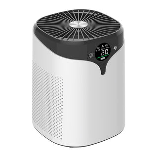 Portable Air Purifier with Negative Ion Technology